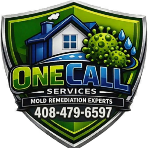 Water Damage & Mold Removal Experts in Santa Clara CA