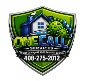 Water Damage and Mold Removal Experts in Santa Clara CA - One Call Services