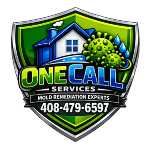 Water Damage & Mold Removal Experts in Santa Clara CA