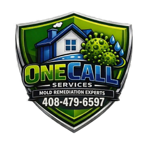 Water Damage & Mold Removal Experts in Santa Clara CA